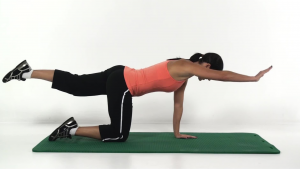 personal training software