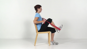 personal trainer exercise software